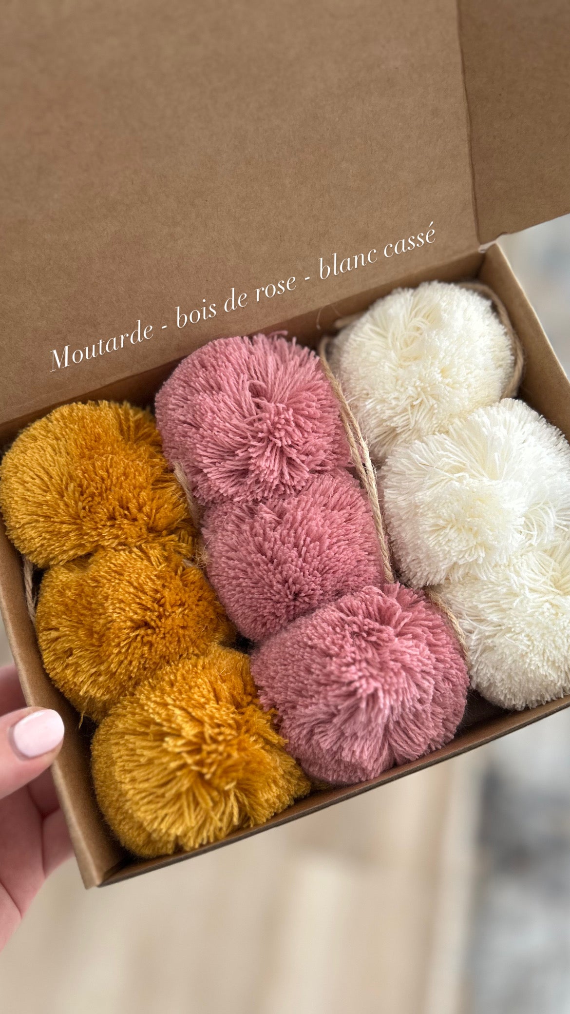 Lot de pompons