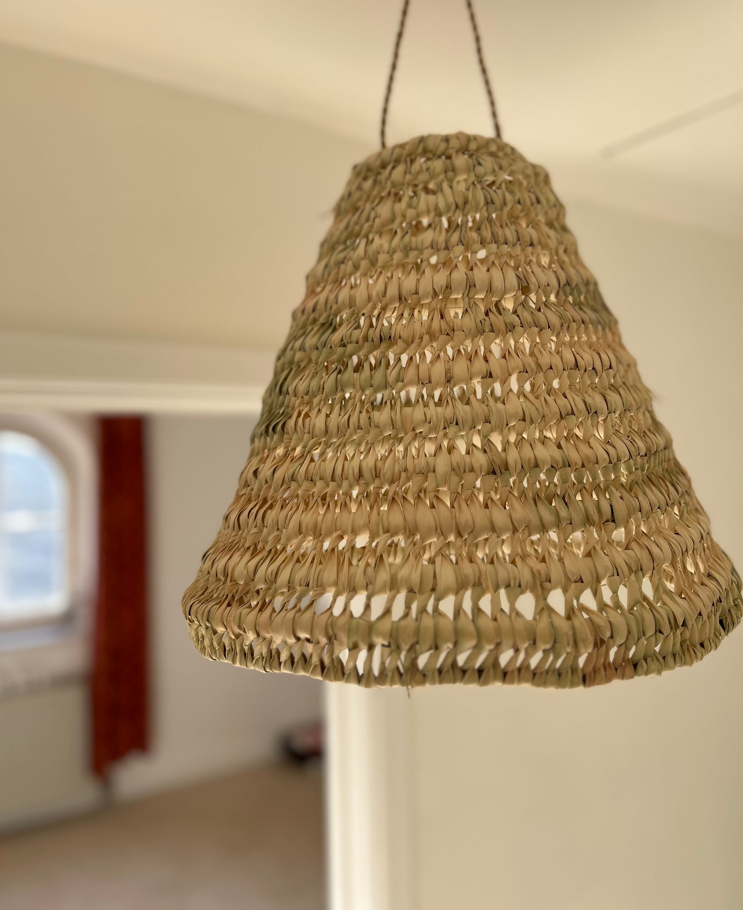 Suspension luminaire