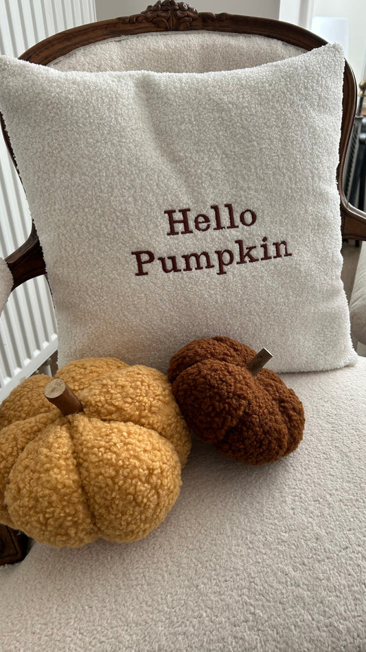 Housse de coussin teddy